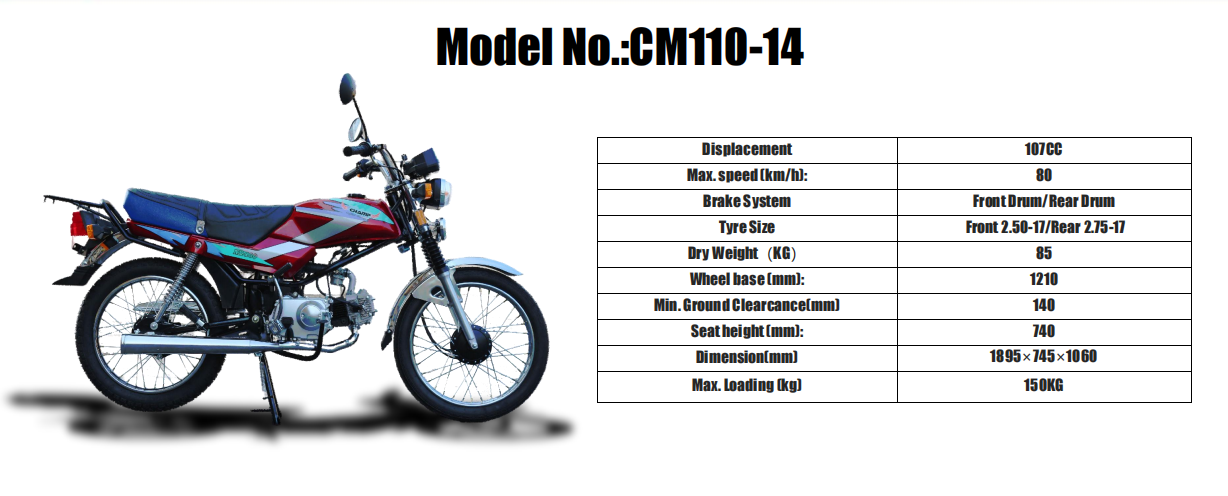 Motorcycle 110CC