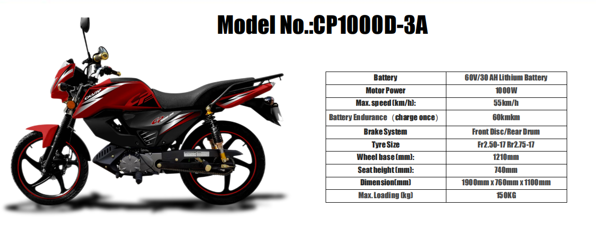 Electric Motorcycle CP1000D-3A