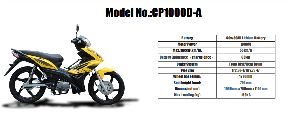 Electric Motorcycle CP1000D-A 